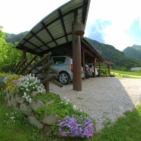 Apartma Bel Zaga Exterior photo